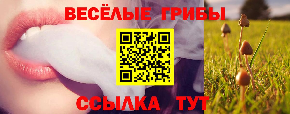 Галлюциногенные грибы MAGIC MUSHROOMS  Вход с VPN  Ессентуки 